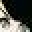 Thegirlwiththespidertattoo Icon