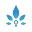 Nabtahealth Icon