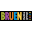 Bruen Icon