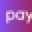Payexpo Icon