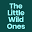 Thelittlewildones Icon