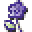 Cactus Flower Icon