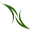 Nil Organic Tea Icon