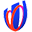 Rugby World Cup Online Shop Icon