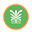Charlestonknobcompany Icon