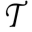Tolani Collection Icon