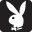 Rocktherabbit.com Icon