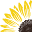 Living Light Culinary Institute Icon