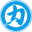 Chikarapro Icon