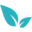 Biomassnutrition.com Icon