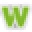 Wintergreen Icon