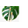 Revivewhitening.com Icon