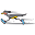 Nrhroadrunner Icon