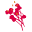 Kosmea Icon