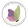 Wacky Jacquis Designs Icon