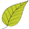 Allsop Garden Icon