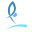 Springboardsandmore Icon