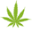 Shopchronic.com Icon