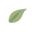 Simply-eden.com Icon
