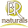 Brnaturals Icon