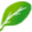 Madgreens Icon