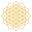 Servane Barrau Designs Icon