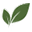 Growinghealthyhomes Icon