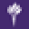 Nyu Icon