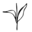 Sol Cleanse Icon