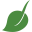 Stewardshipnetwork Icon