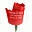Just Paper Roses Icon