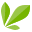 Stivii.com Icon