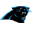 Carolina Panthers Icon