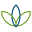 Psamn Icon