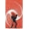 Vertigoposters Icon