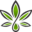 Ammalife Icon