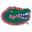 Florida Gators Icon