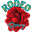 Rodeo Quincy Icon