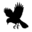 Sourceressthestore Icon