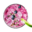 Foodjonezi Icon