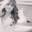 Thefashiontofollow Icon