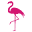Silver Airways Icon