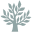 Timberwindows Icon
