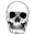 Everything Skull Icon