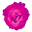 Pursona Icon