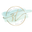 Sandy Toes Boutique Icon