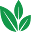 Revitoldeal Icon