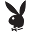 Playboyshop Icon