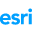 Esri Icon