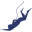 Catalina Offshore Products Icon